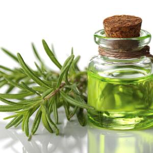 Rosemary Hair Oil – Asala Refreshing Hair Oil
