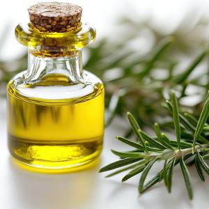 Rosemary Oil– Asala Refreshing Hair Oil